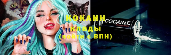 гашик Медногорск