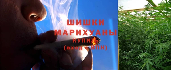хмурый Мегион