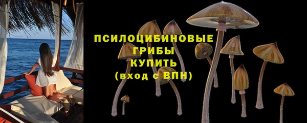 гашик Медногорск