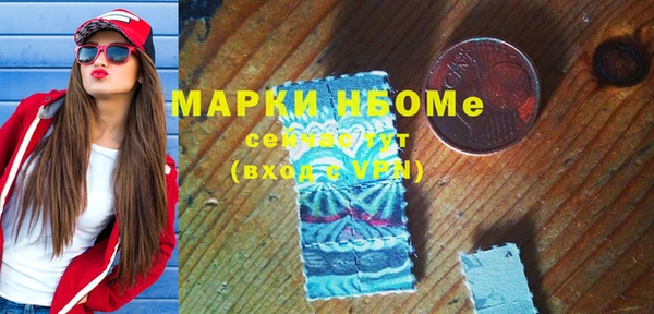 хмурый Мегион