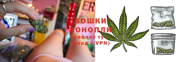 хмурый Мегион