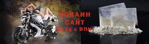 хмурый Мегион