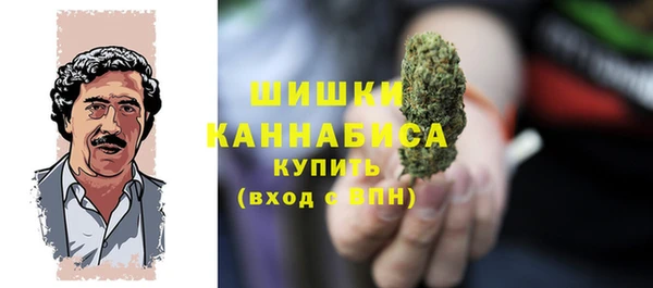хмурый Мегион