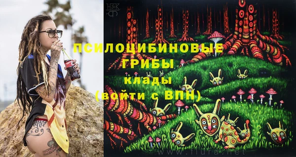 первитин Медвежьегорск