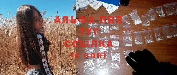 хмурый Мегион