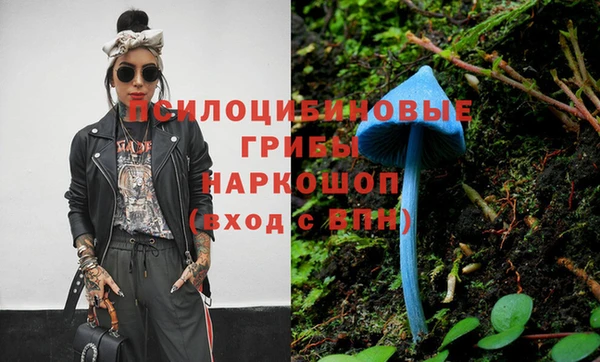 хмурый Мегион
