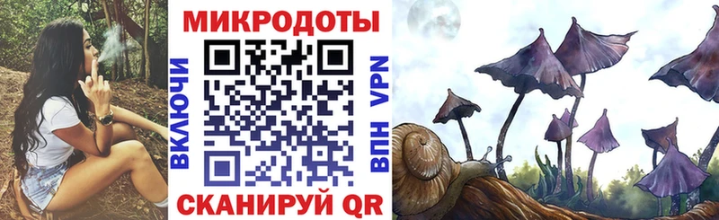 как найти наркотики  Юхнов  Псилоцибиновые грибы мицелий 